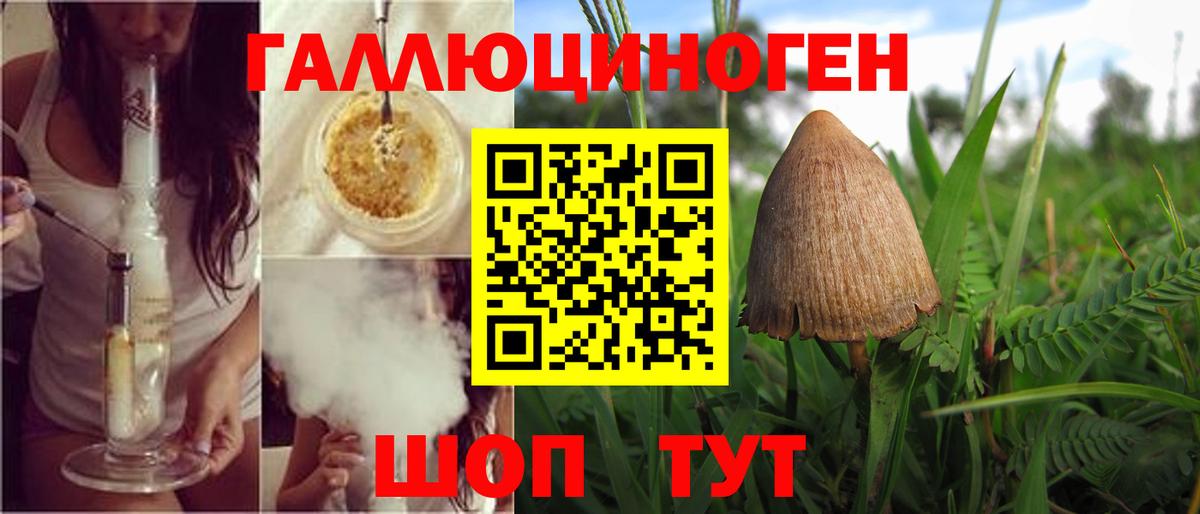 Псилоцибиновые грибы Psilocybe  Вход с VPN  Галлюциногенные грибы Psilocybine cubensis  Старая Купавна 